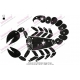 Black Scorpion Embroidery Design 04